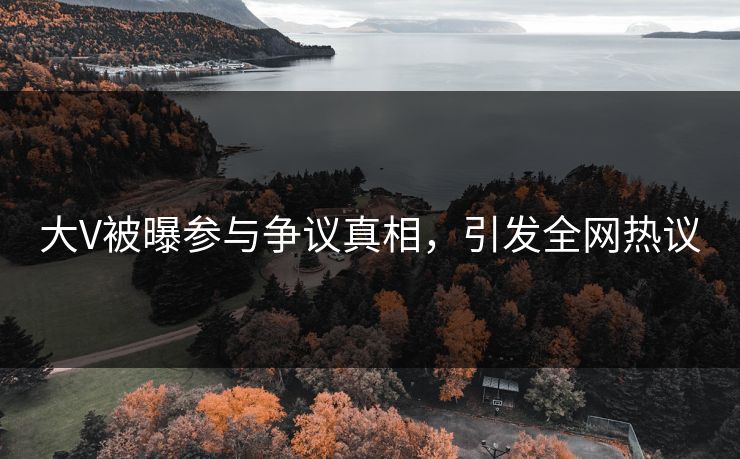 大V被曝参与争议真相,引发全网热议 大V被曝参与争议真相,引发全网热议
