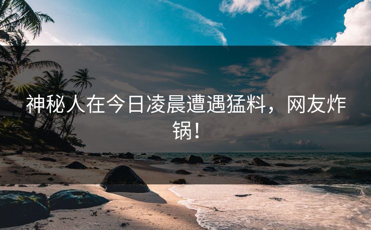 神秘人在今日凌晨遭遇猛料，网友炸锅！