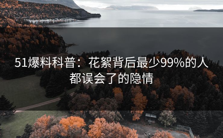 51爆料科普：花絮背后最少99%的人都误会了的隐情