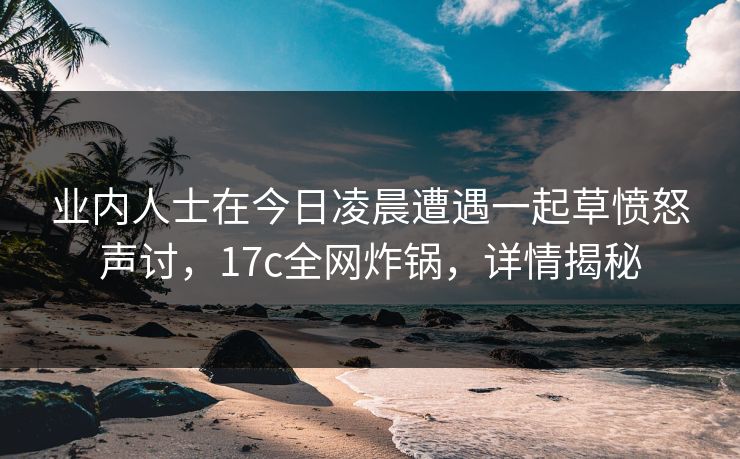 业内人士在今日凌晨遭遇一起草愤怒声讨，17c全网炸锅，详情揭秘