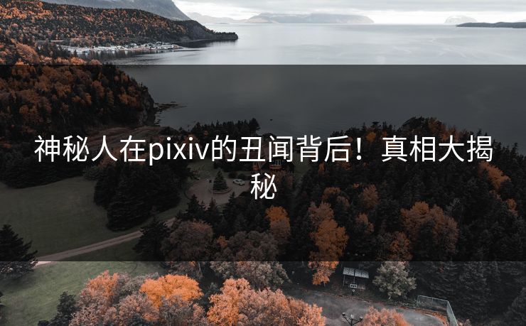 神秘人在pixiv的丑闻背后！真相大揭秘