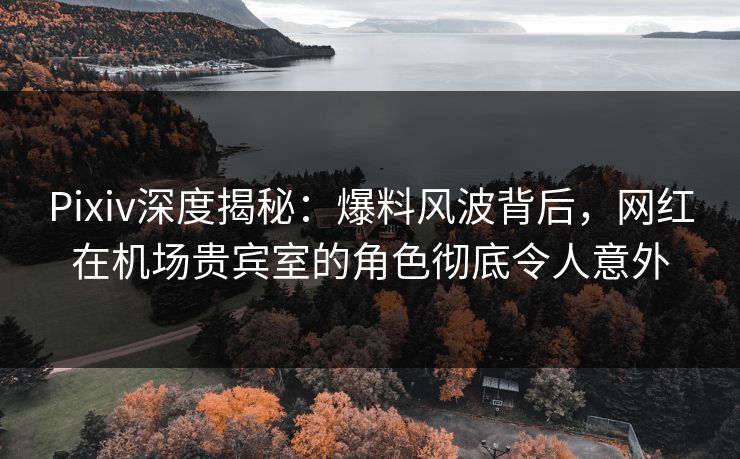 Pixiv深度揭秘：爆料风波背后，网红在机场贵宾室的角色彻底令人意外